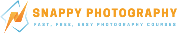 Snappy SEO Audits